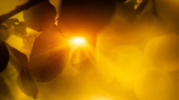 Titelbild Morgenmeditation